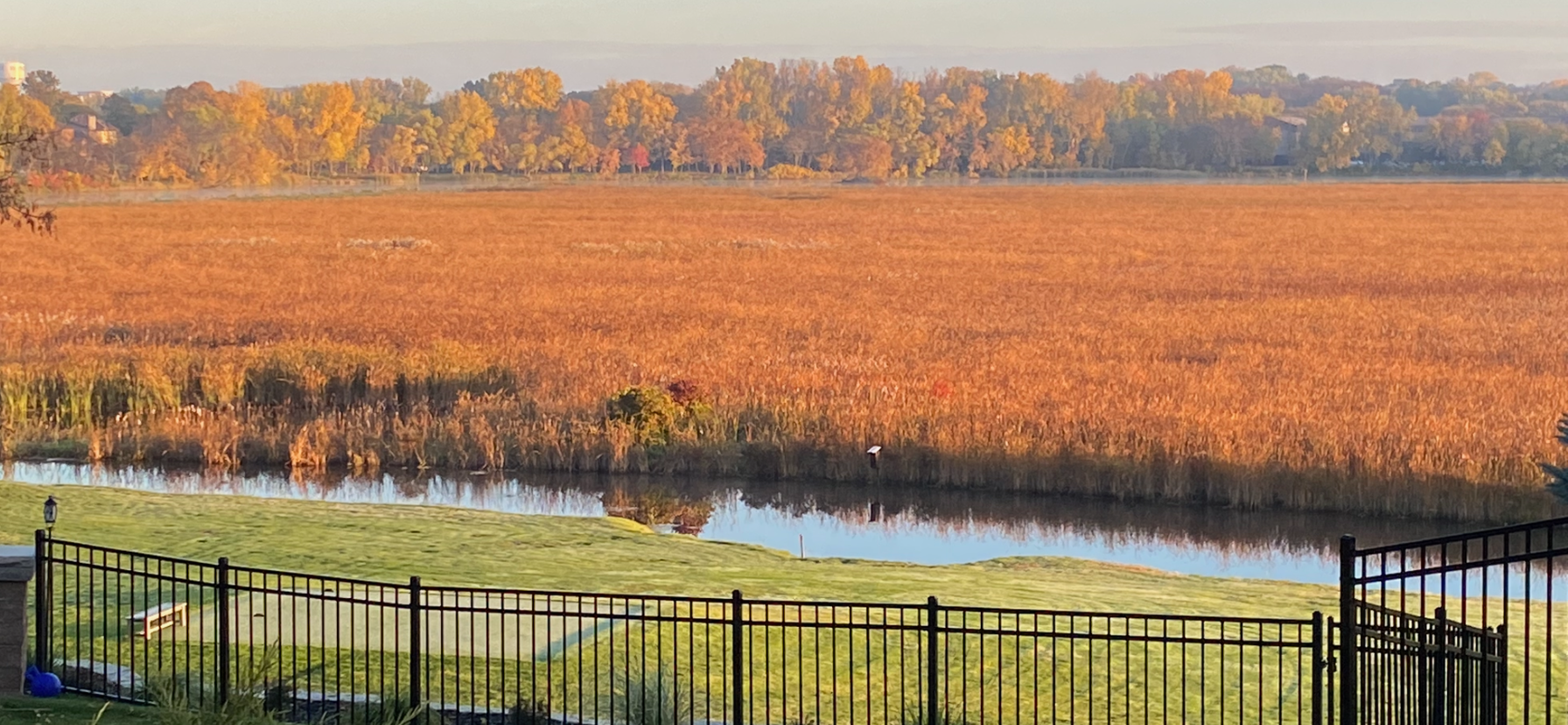 11472 Mt Curve Road Eden Prairie, MN 55347 - Photo 9 of 14