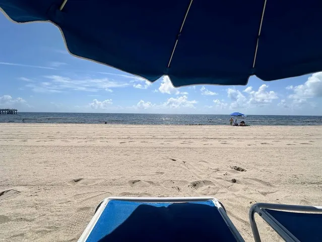 a view of a yard with palm tree