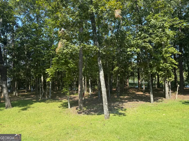 a big yard with trees in the background