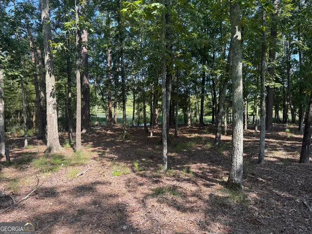 a front view of a house with a yard table and chairs