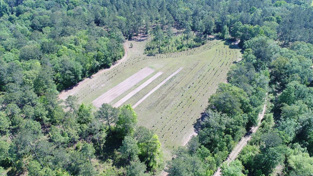 397 Maddox Road Thomasville, GA 31792 - Photo 27 of 40 Gallery Image 27