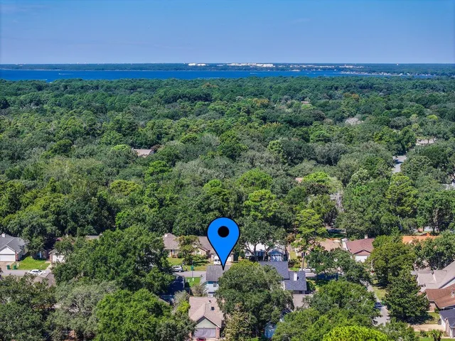 a view of a trees and yard