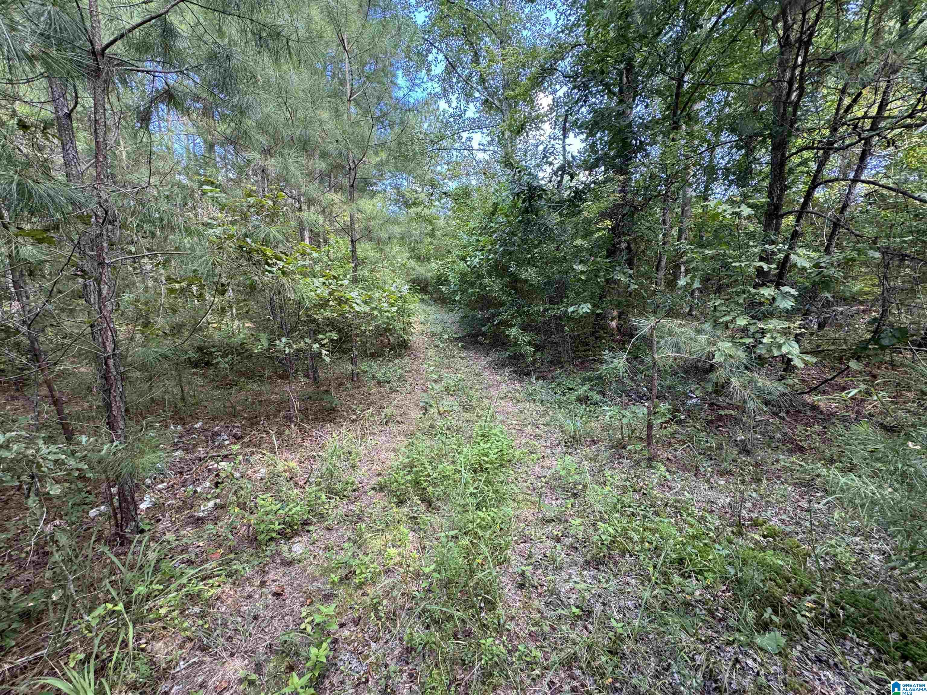 20394 County Road 55 Sterrett, AL 35147 - Photo 14 of 43