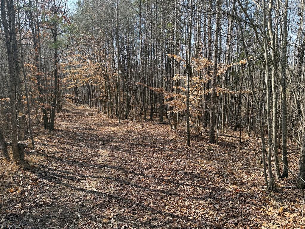 1200 Purcell Road Reidsville, NC 27320 - Photo 32 of 50