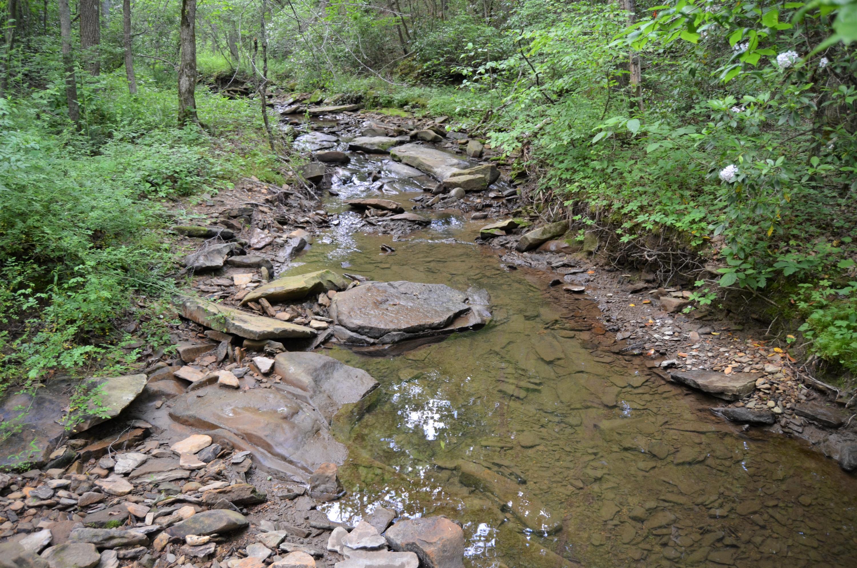 Milo Webb Road Crossville, TN 38572 - Photo 1 of 26 Creek