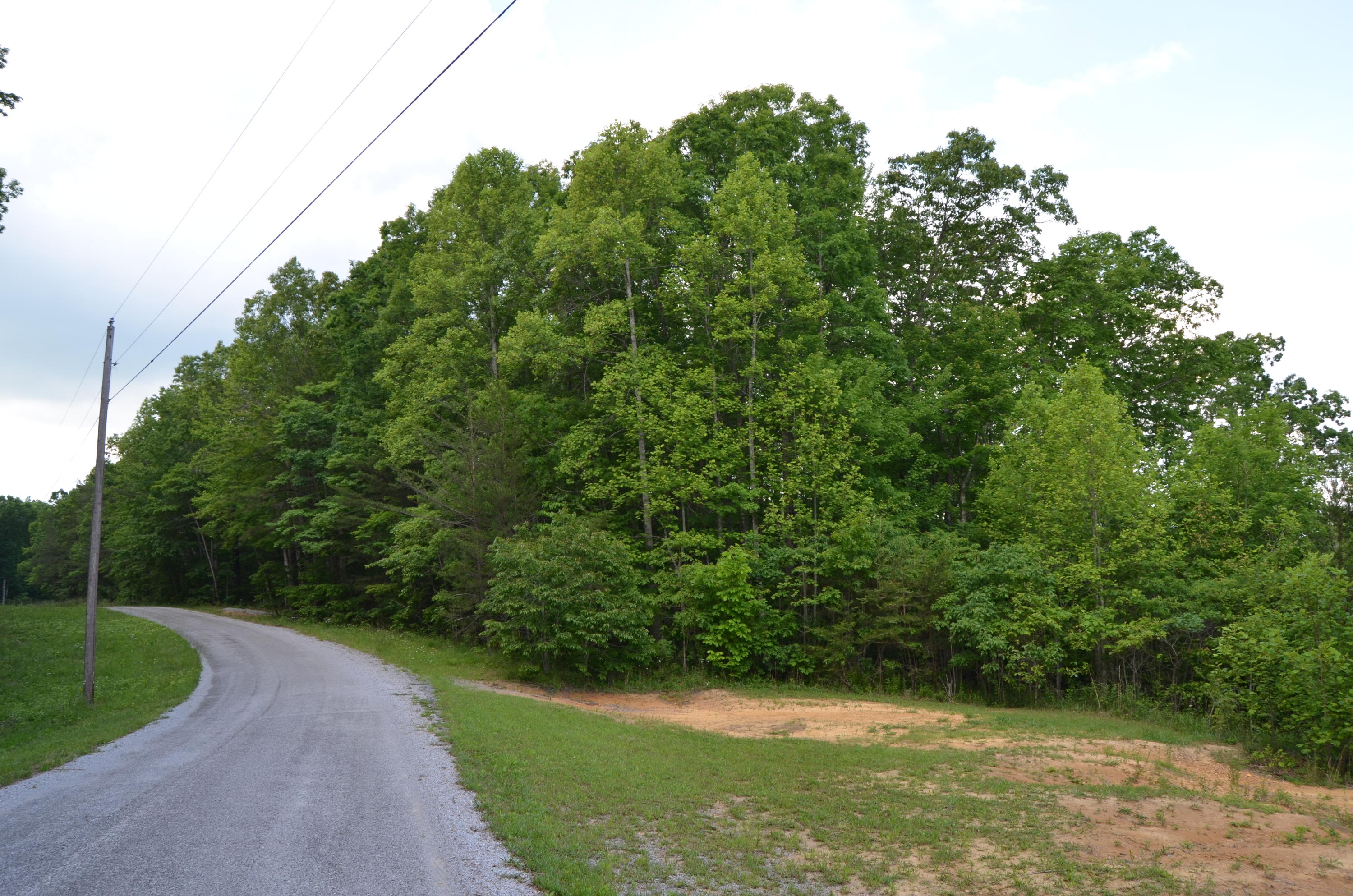 Milo Webb Road Crossville, TN 38572 - Photo 2 of 26 Street turn off