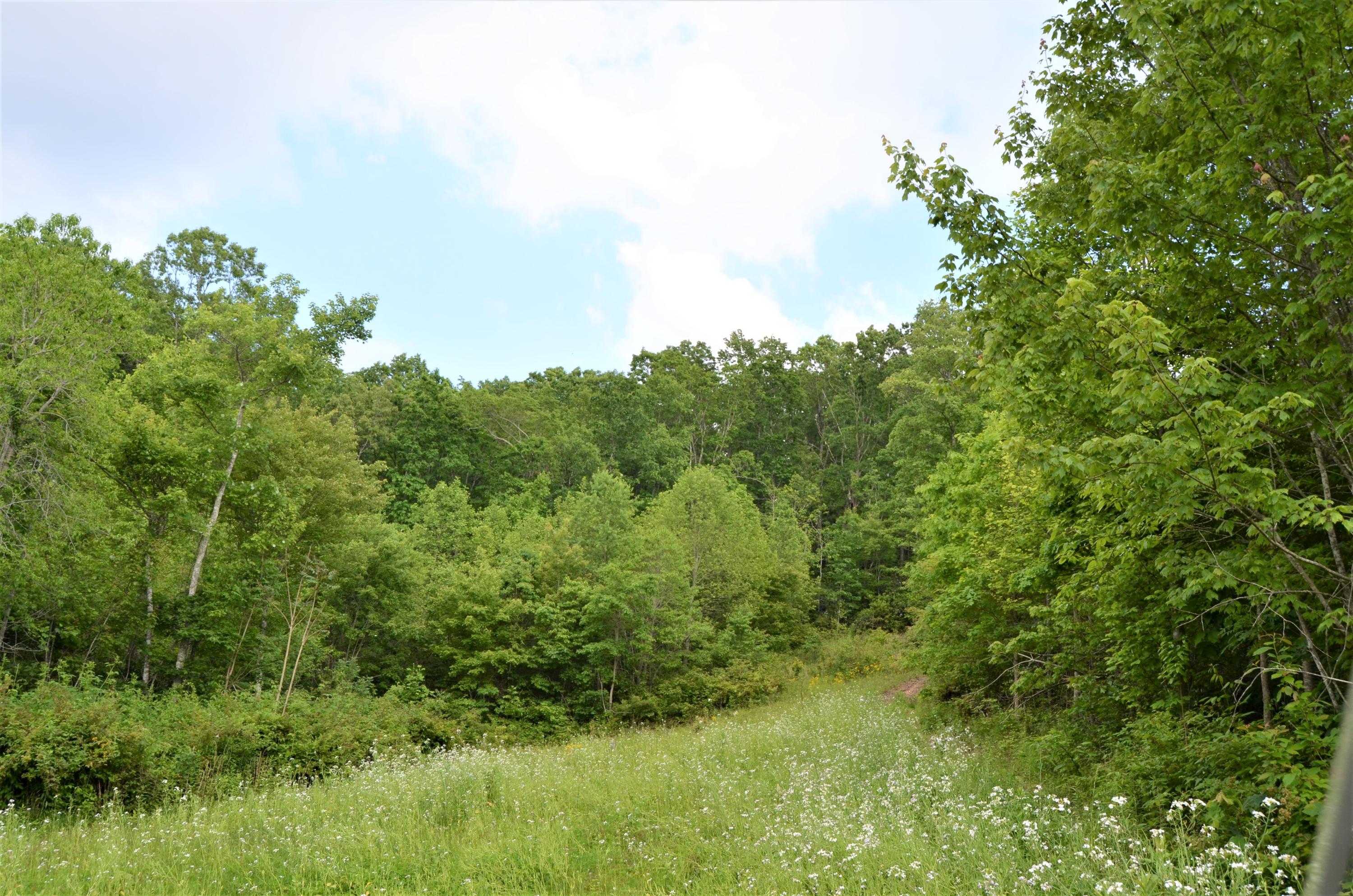 Milo Webb Road Crossville, TN 38572 - Photo 12 of 26 DSC_0530