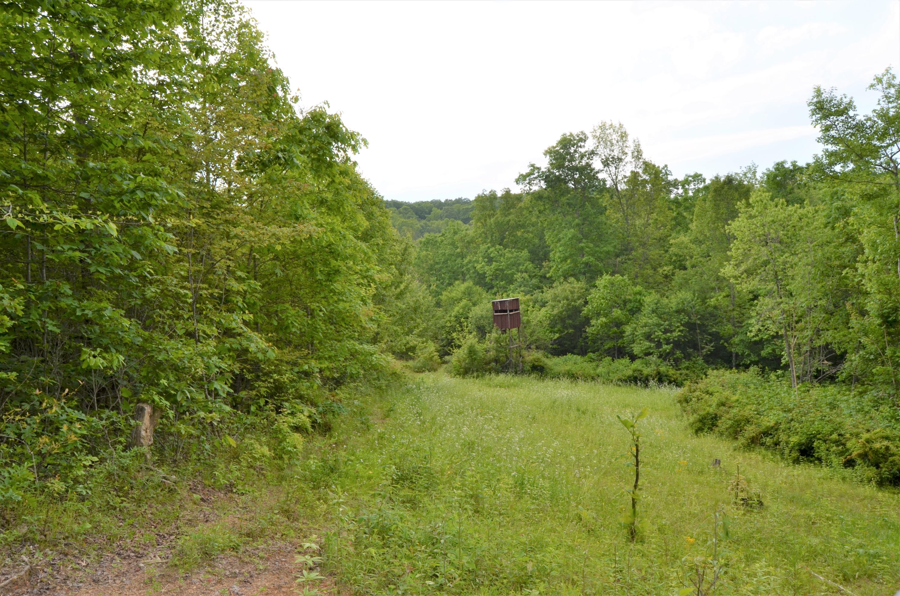 Milo Webb Road Crossville, TN 38572 - Photo 13 of 26 DSC_0531