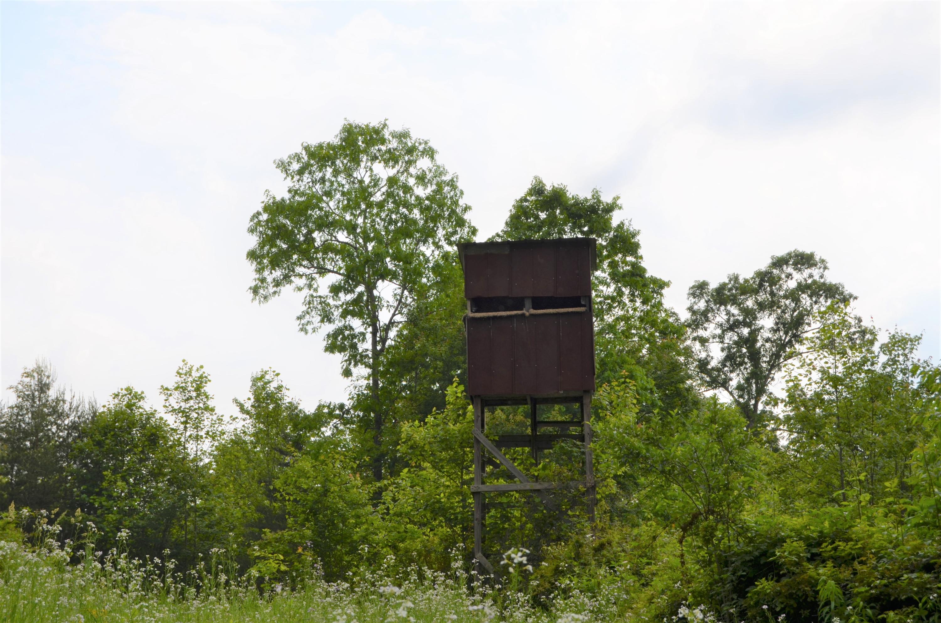 Milo Webb Road Crossville, TN 38572 - Photo 15 of 26 DSC_0535