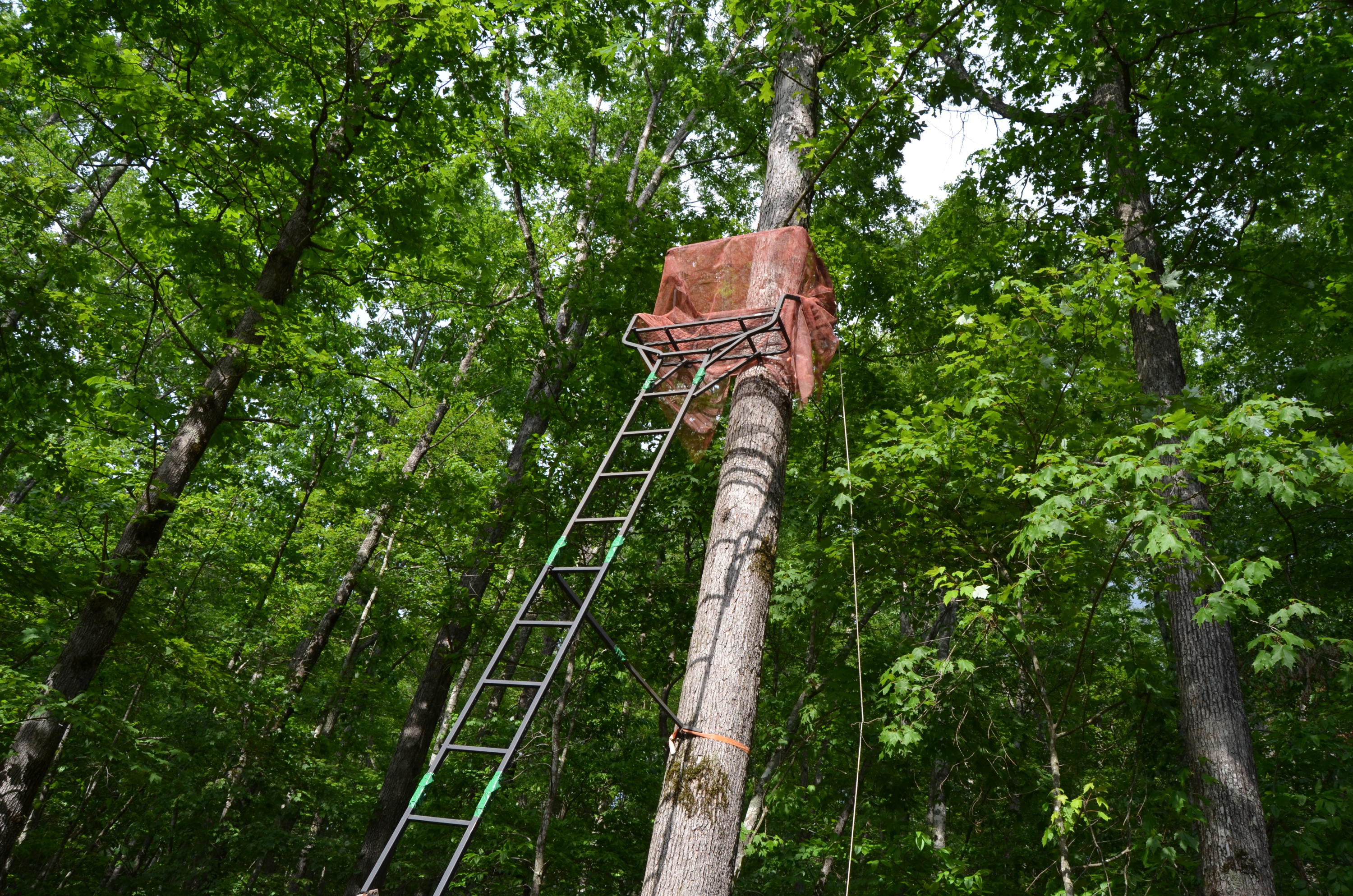 Milo Webb Road Crossville, TN 38572 - Photo 16 of 26 DSC_0536