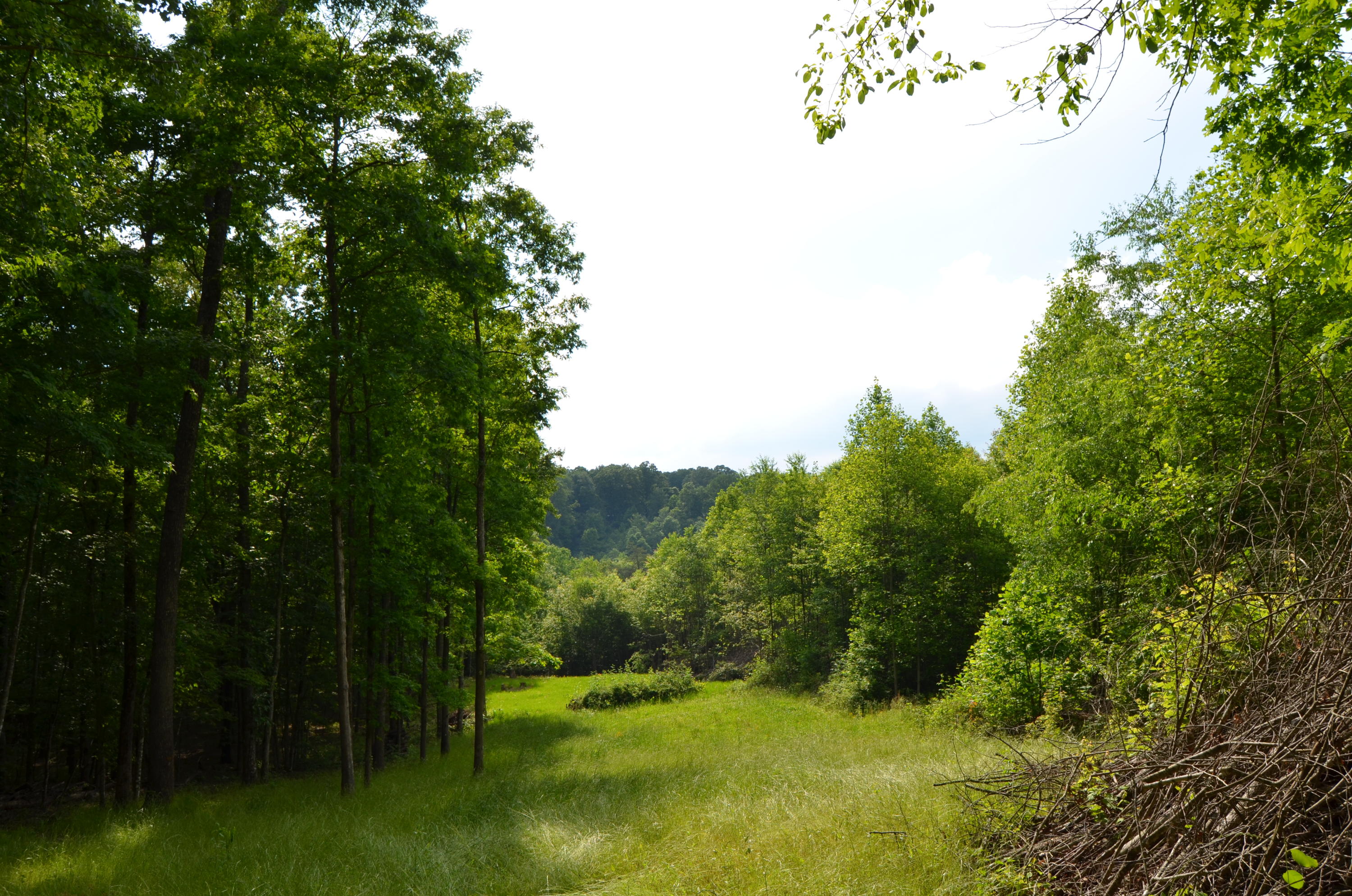 Milo Webb Road Crossville, TN 38572 - Photo 17 of 26 DSC_0537