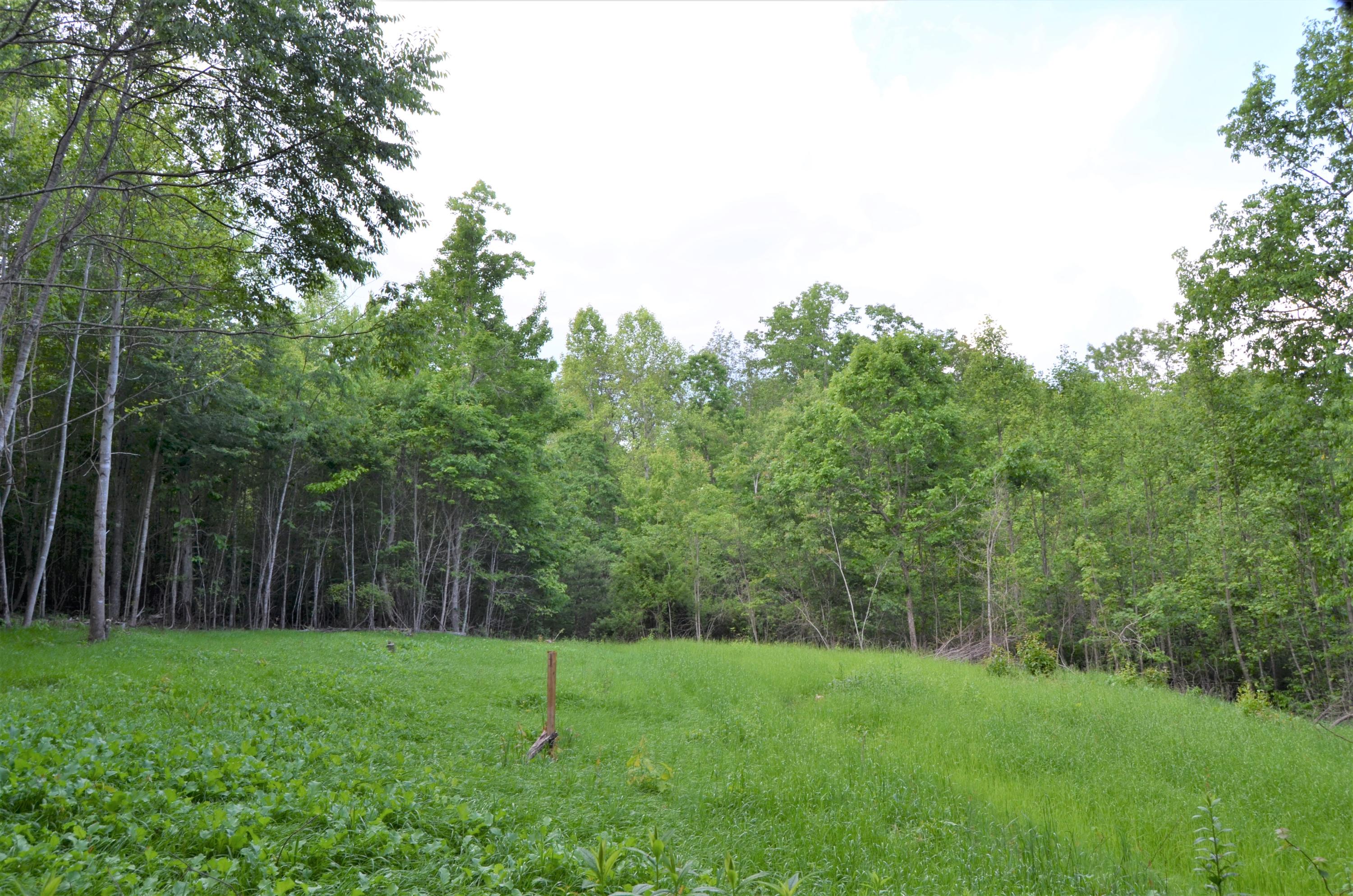 Milo Webb Road Crossville, TN 38572 - Photo 3 of 26 Open field
