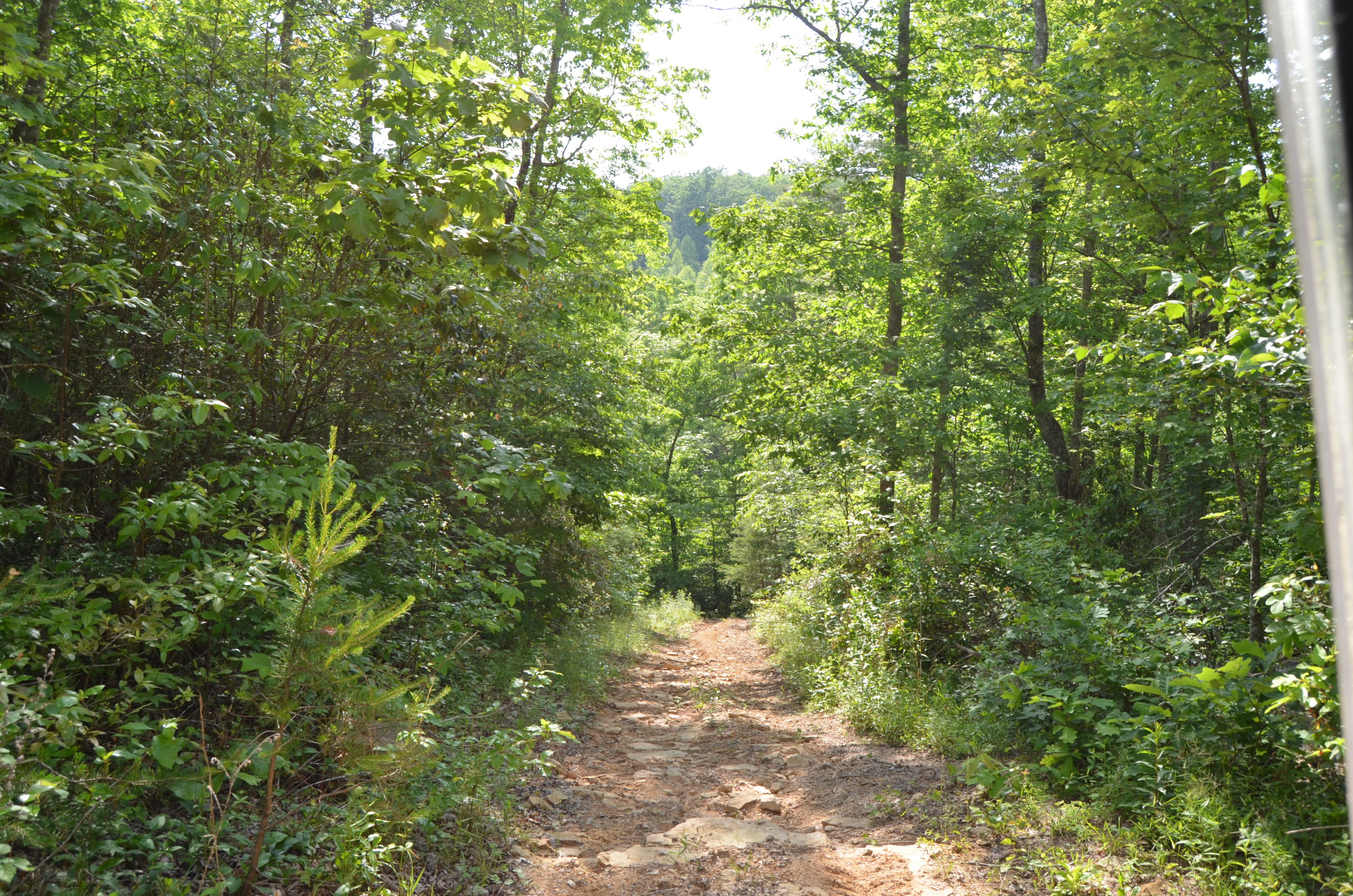 Milo Webb Road Crossville, TN 38572 - Photo 21 of 26 DSC_0545