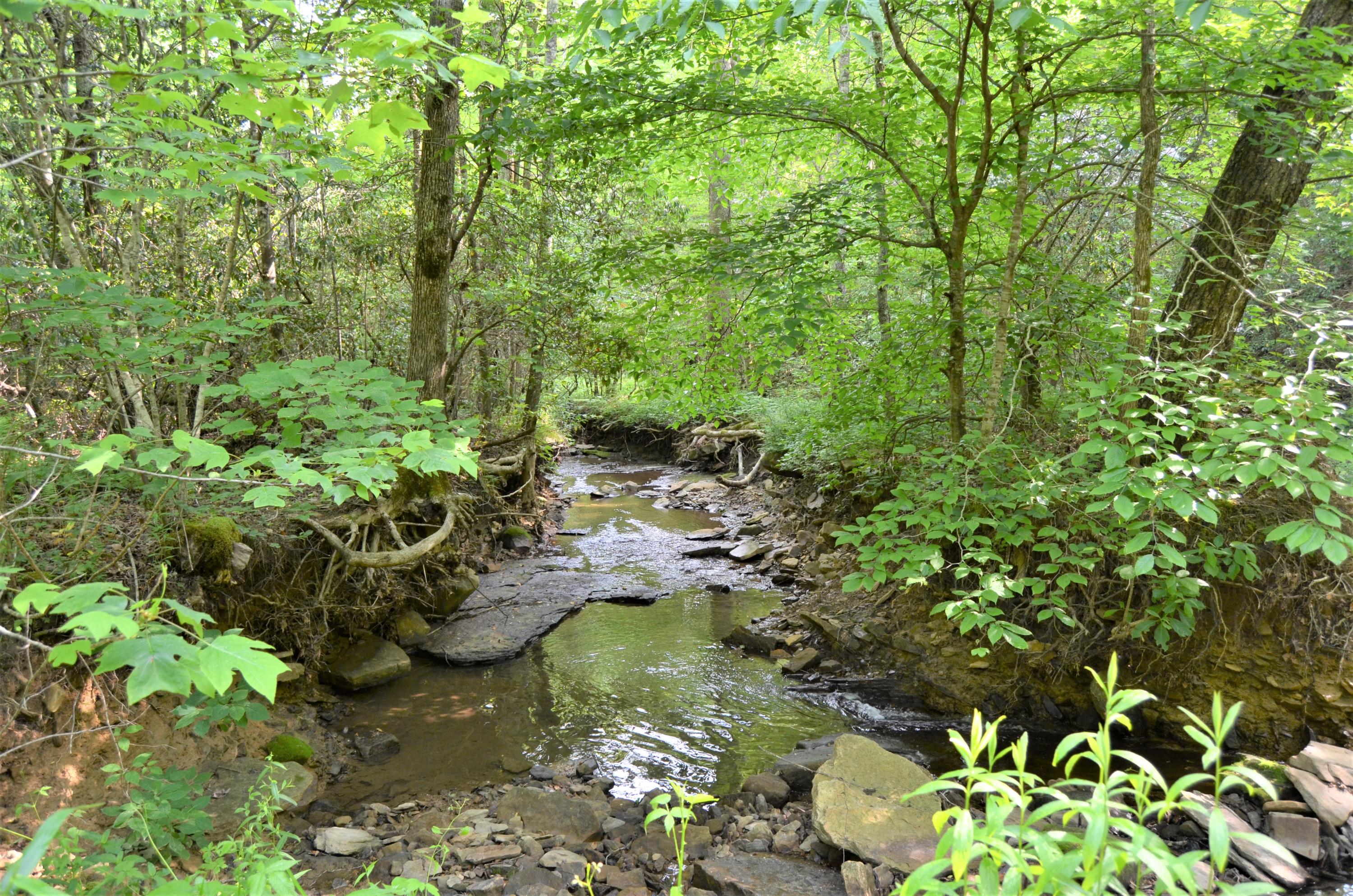 Milo Webb Road Crossville, TN 38572 - Photo 22 of 26 DSC_0548