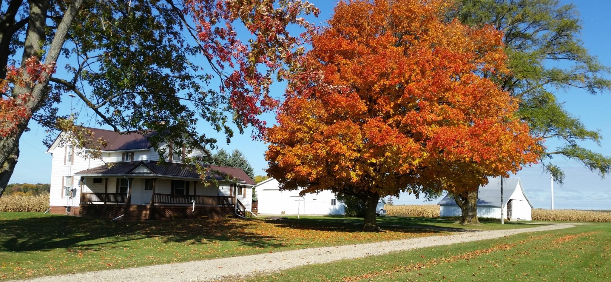 5877 East Adams Road Breckenridge, MI 48615 - Photo 16 of 48