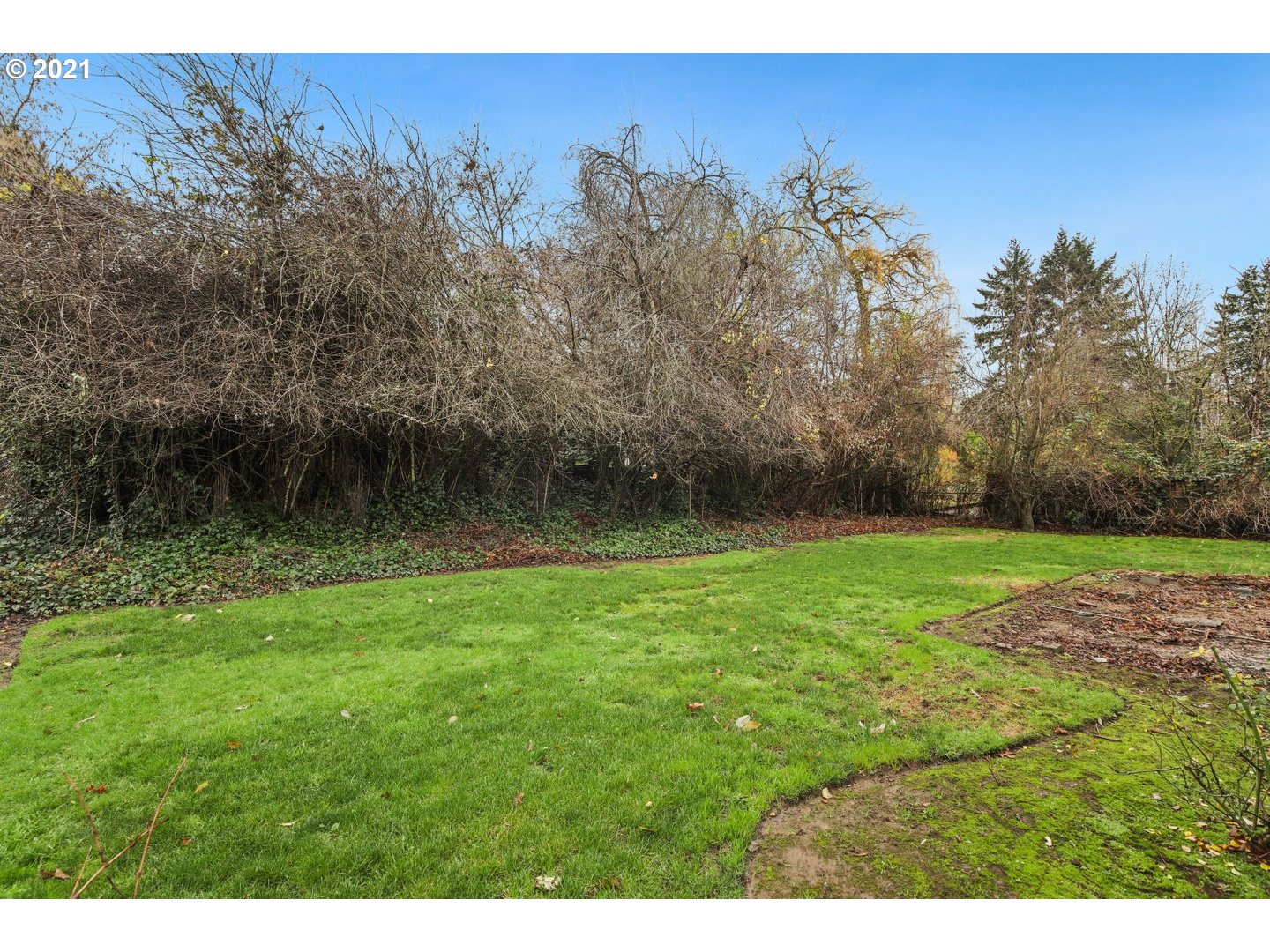 5823 Southwest Nebraska Street Portland, OR 97221 - Photo 20 of 21 Gallery Image 20