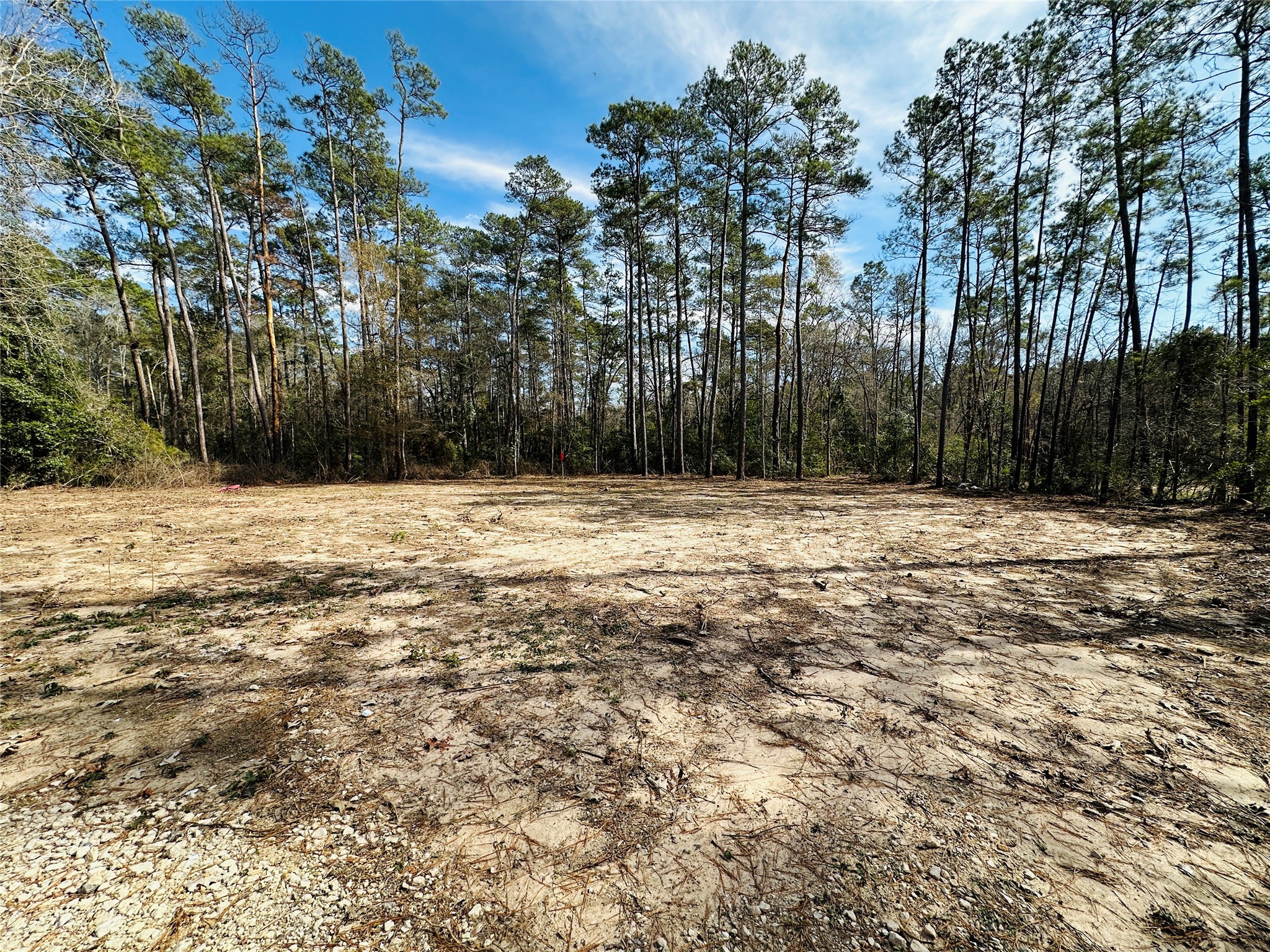 11269 Newton Circle Conroe, TX 77303 - Photo 32 of 39 a view of side of a building