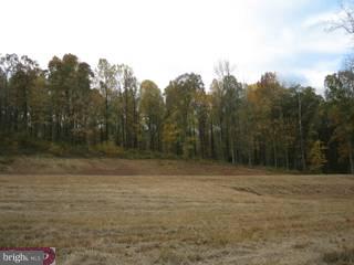 0 Springhaven Road, Unit 2 Newmanstown, PA 17073 - Photo 2 of 3 Gallery Image 2