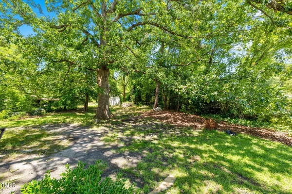 a view of outdoor space with trees all around