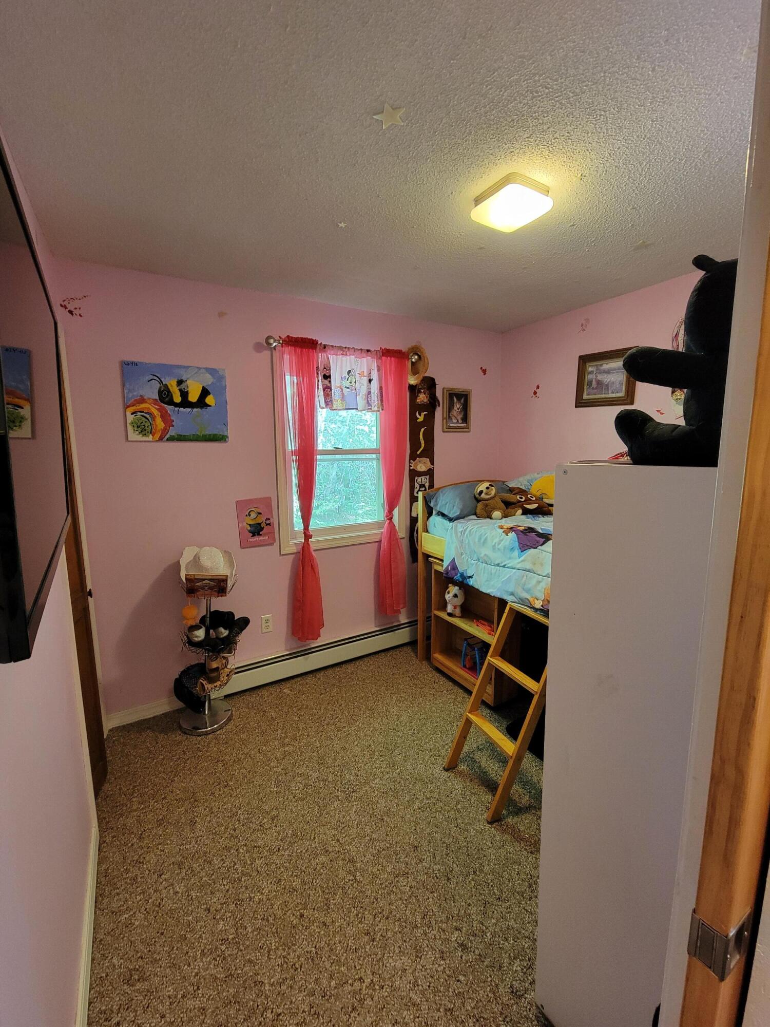 358 Sangerville Line Road Dover-Foxcroft, ME 04426 - Photo 24 of 42 20220628_154051