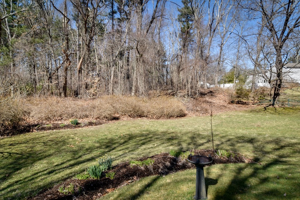 5 Rosenfeld Road Millis, MA 02054 - Photo 22 of 23