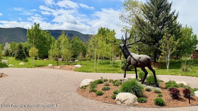 38 Diamond A Ranch Road Carbondale, CO 81623 - Photo 61 of 158 Front Yard Northern Facing View