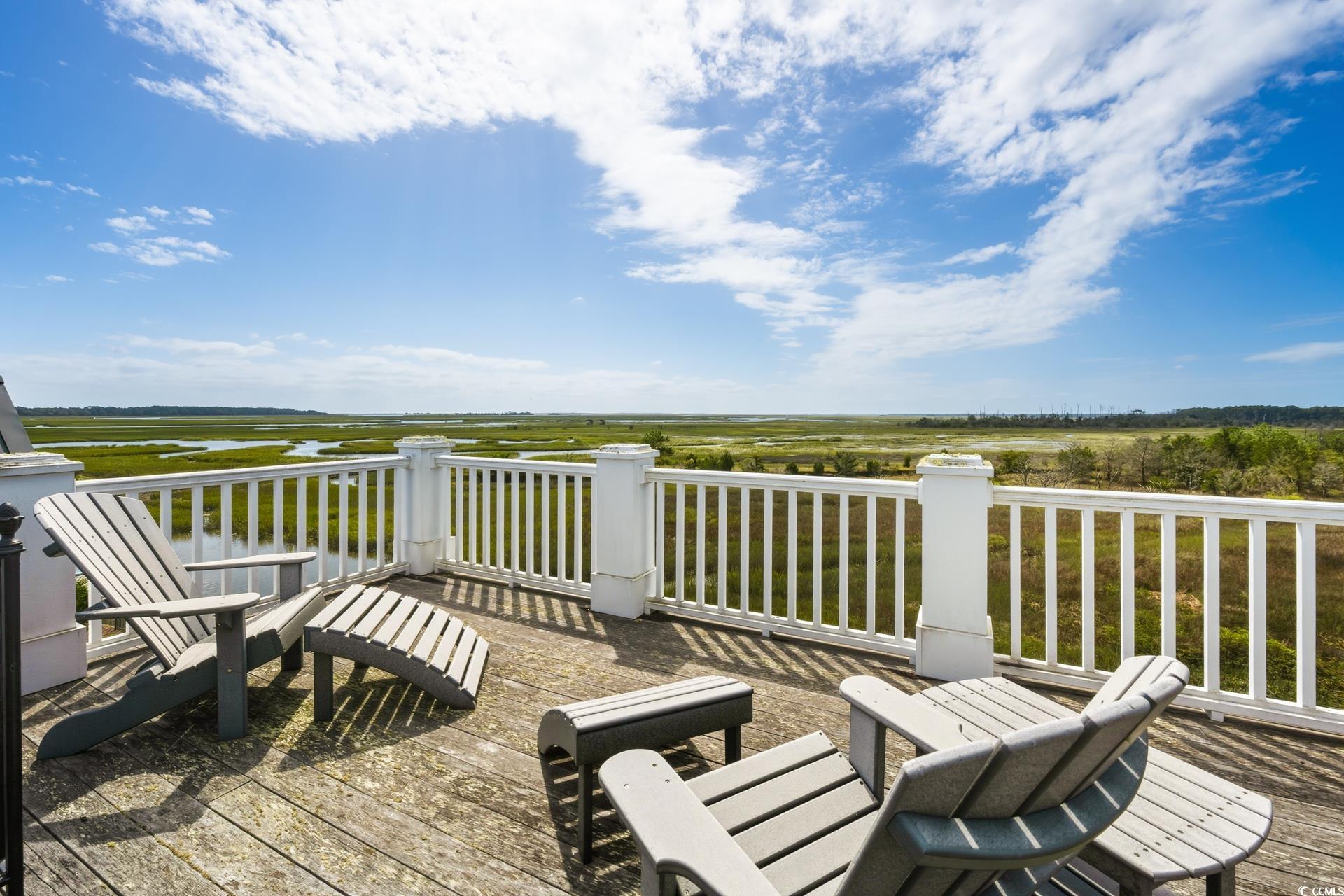 160 Colony Pointe Drive Georgetown, SC 29440 - Photo 29 of 40