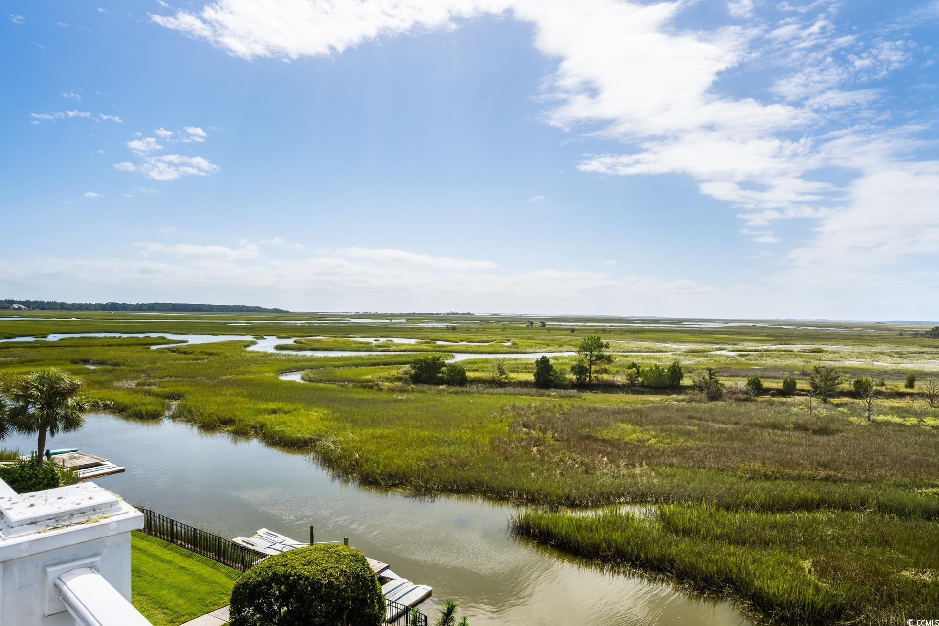 160 Colony Pointe Drive Georgetown, SC 29440 - Photo 30 of 40