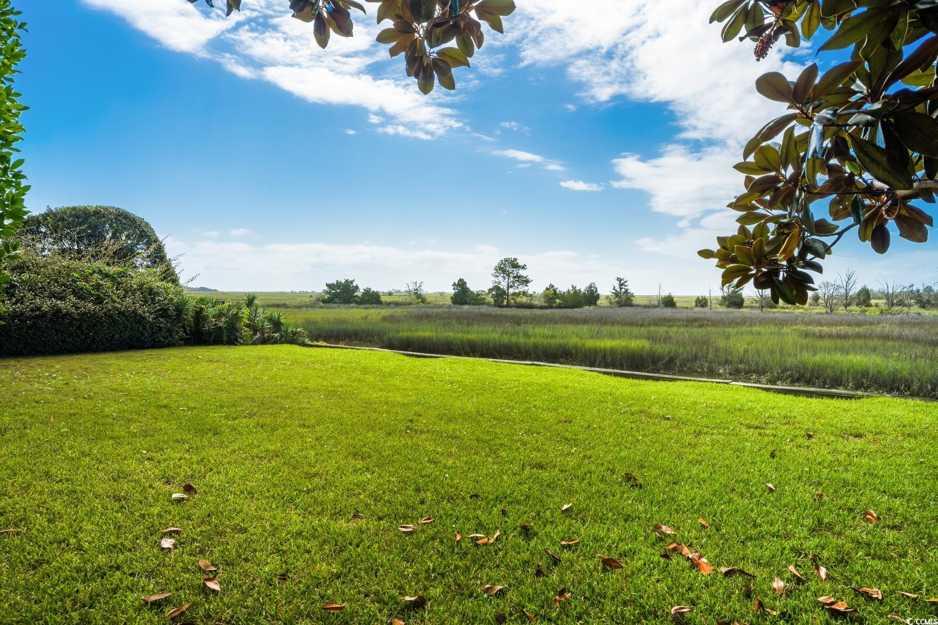 160 Colony Pointe Drive Georgetown, SC 29440 - Photo 33 of 40