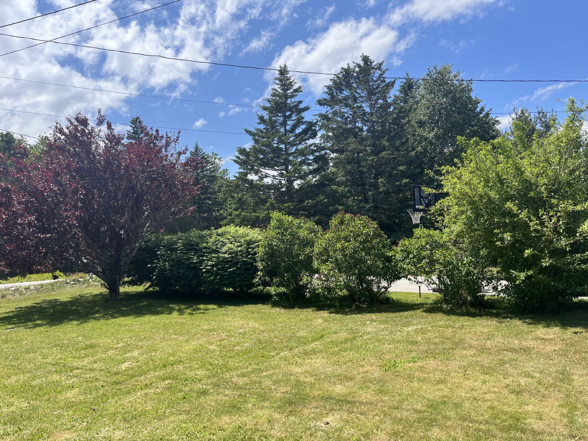 415 Tremont Road Bernard, ME 04612 - Photo 3 of 28 Yard1