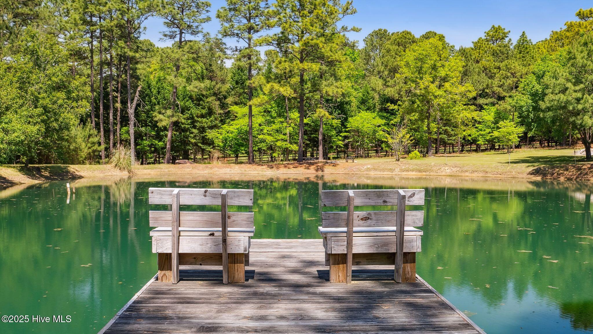 1336 McCaskill Road Carthage, NC 28327 - Photo 68 of 88 Dock