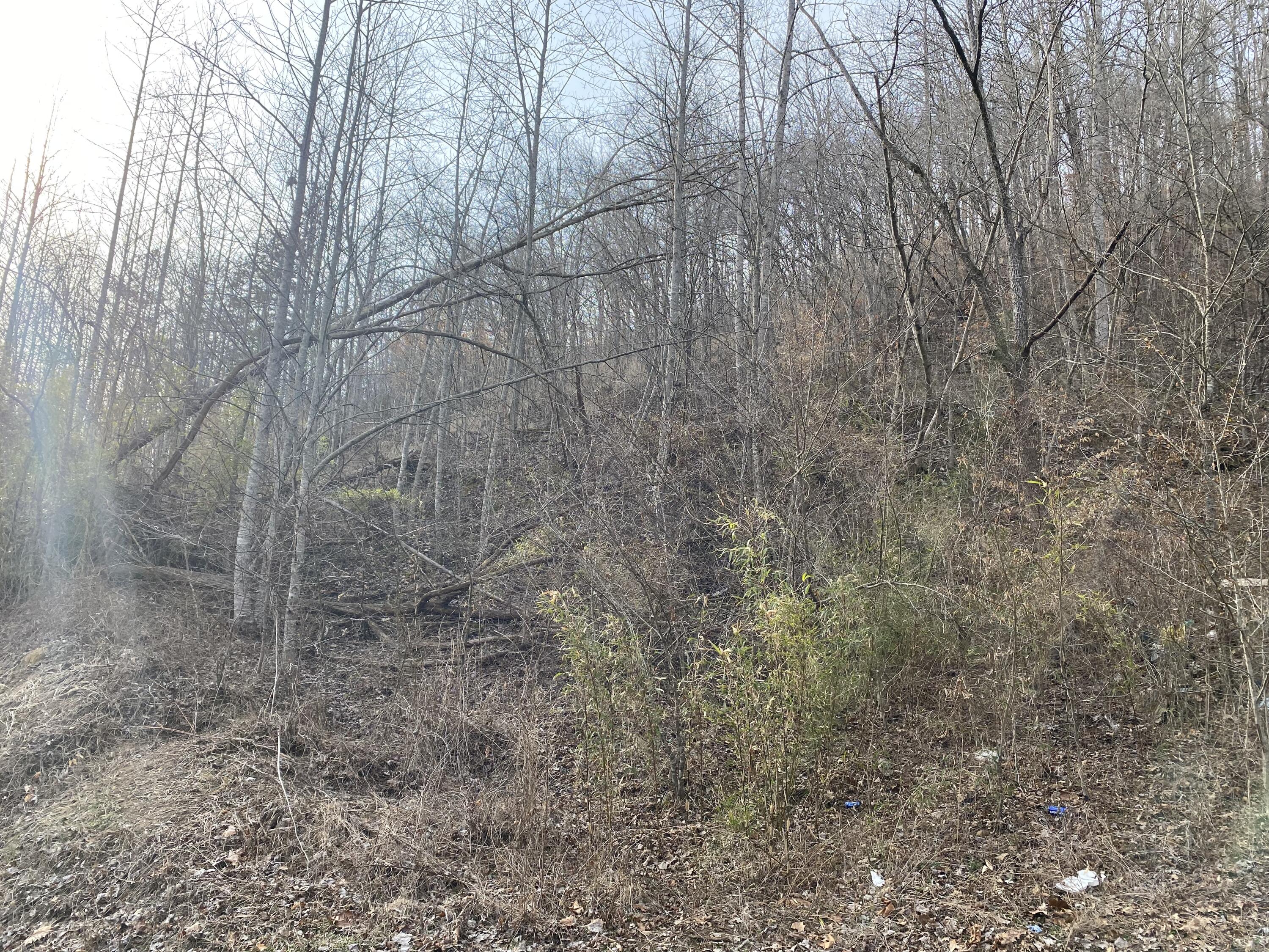 9999 Houston Broughton Road Flat Lick, KY 40935 - Photo 6 of 22 image_50441729