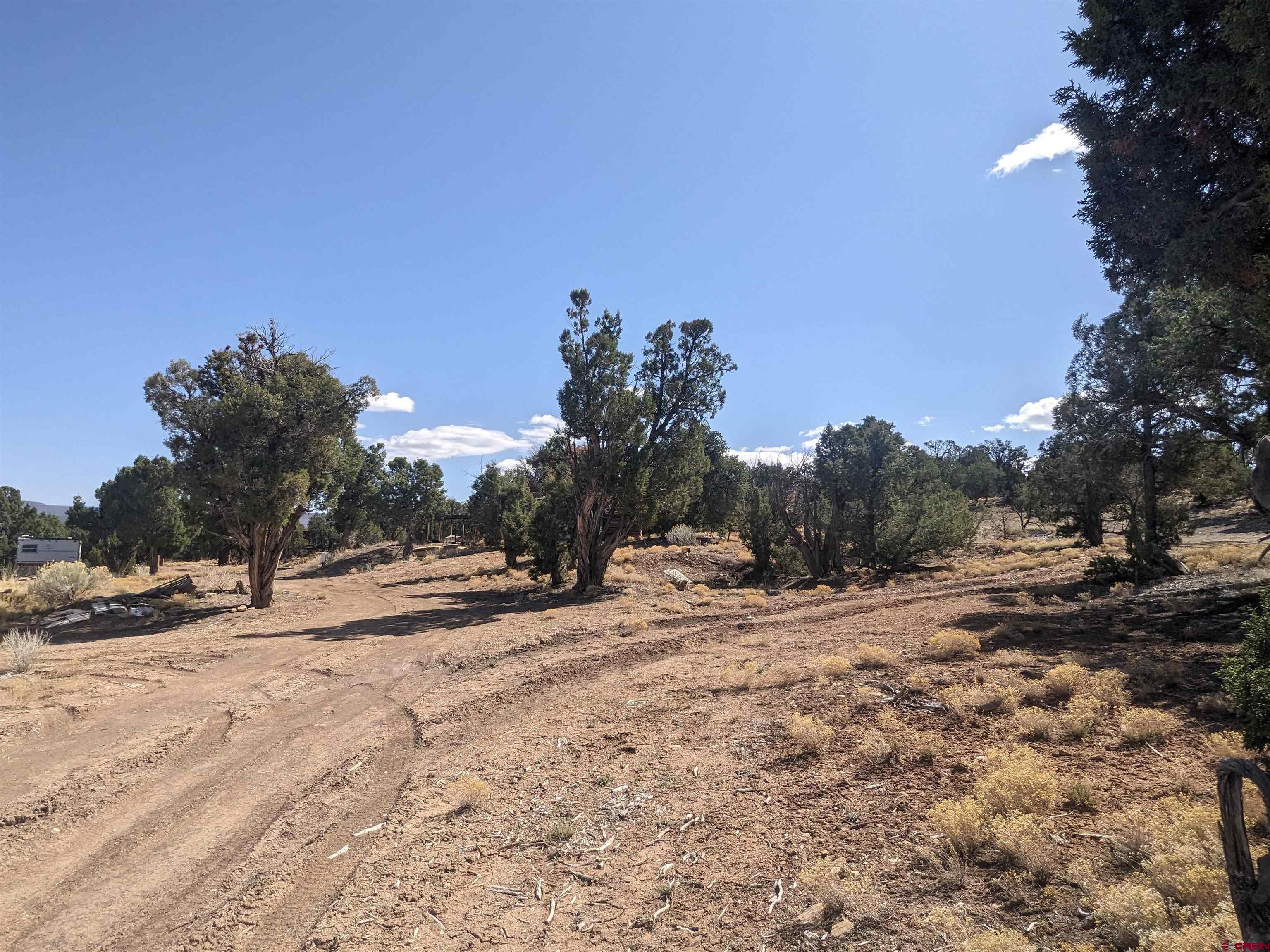 30822 Mailbox Park Road Redvale, CO 81431 - Photo 25 of 32 a view of a yard with a tree