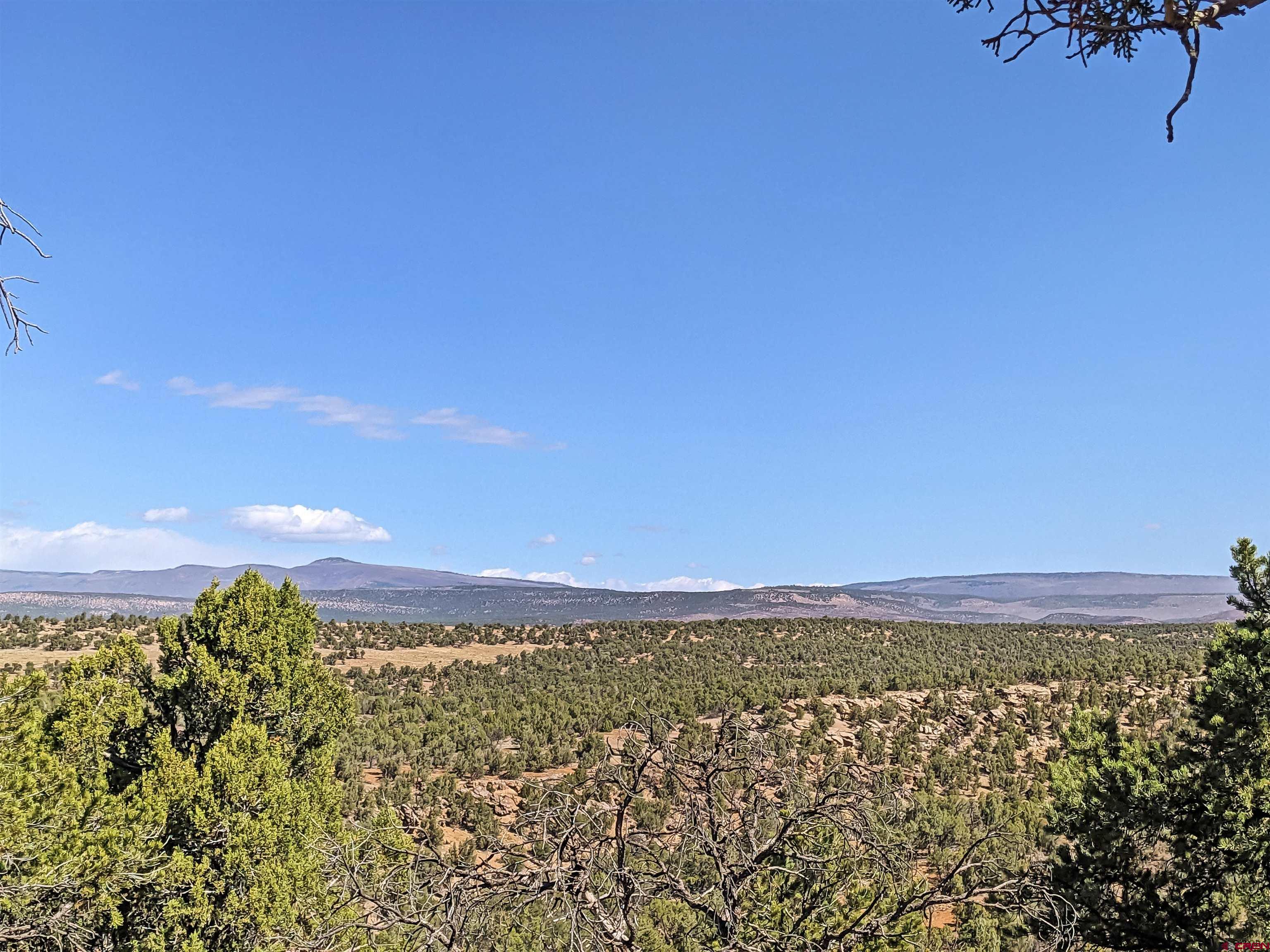 30822 Mailbox Park Road Redvale, CO 81431 - Photo 29 of 32 a view of a city