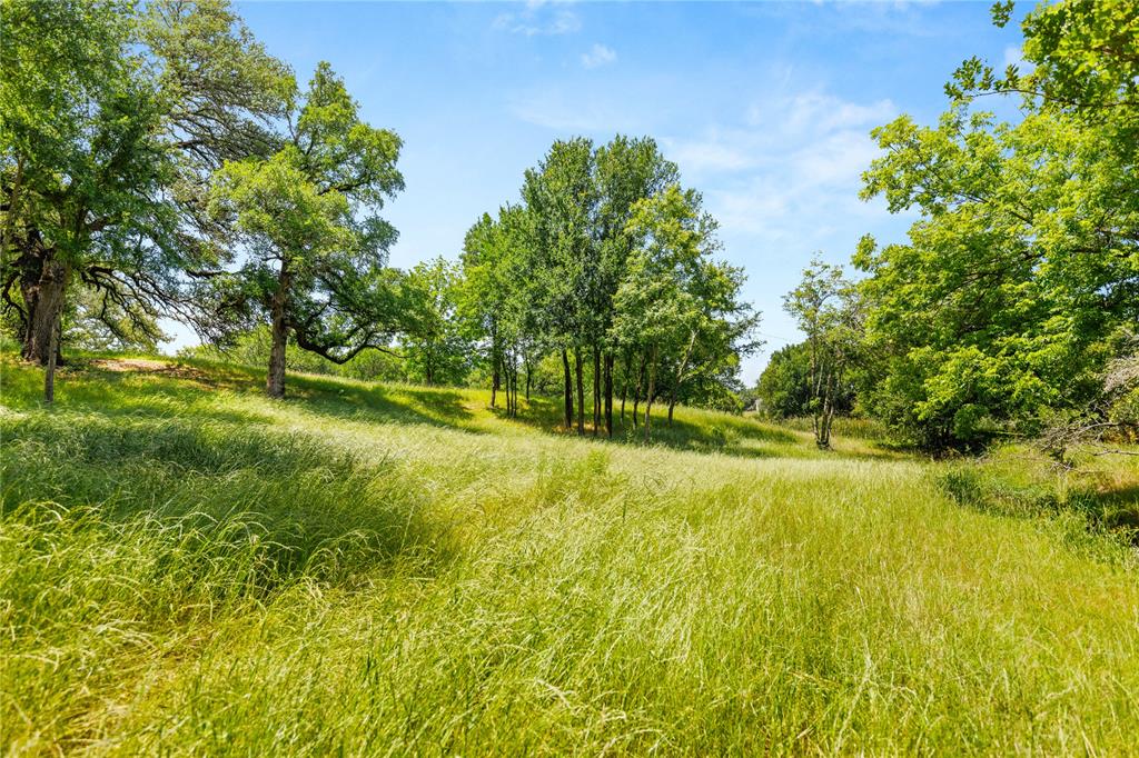 962-oak And Clover Ridge McGregor, TX 76657 - Photo 5 of 32 Gallery Image 5