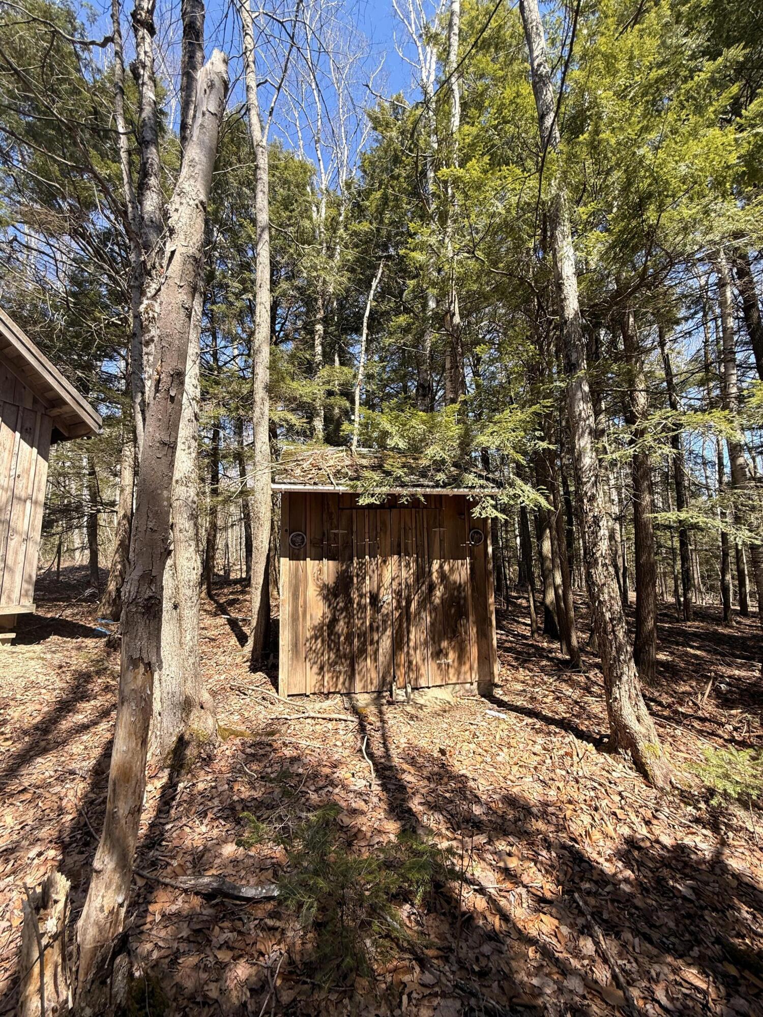 186 Transalpine Road Lincoln, ME 04457 - Photo 18 of 27 IMG_0582