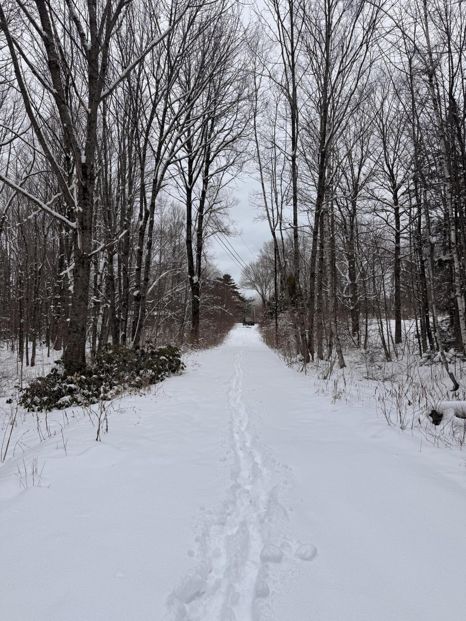 186 Transalpine Road Lincoln, ME 04457 - Photo 19 of 27 IMG_8452