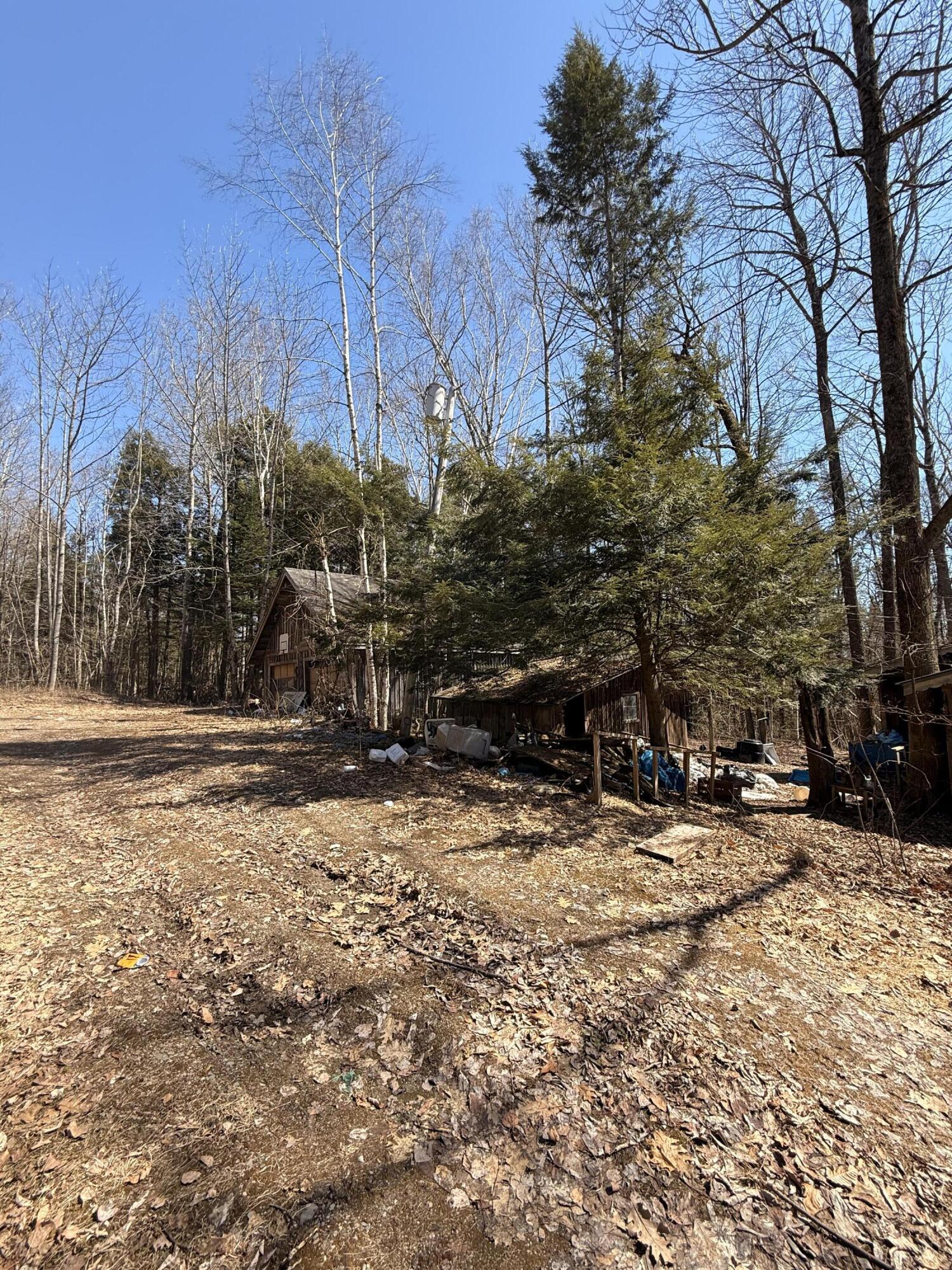 186 Transalpine Road Lincoln, ME 04457 - Photo 20 of 27 IMG_0570