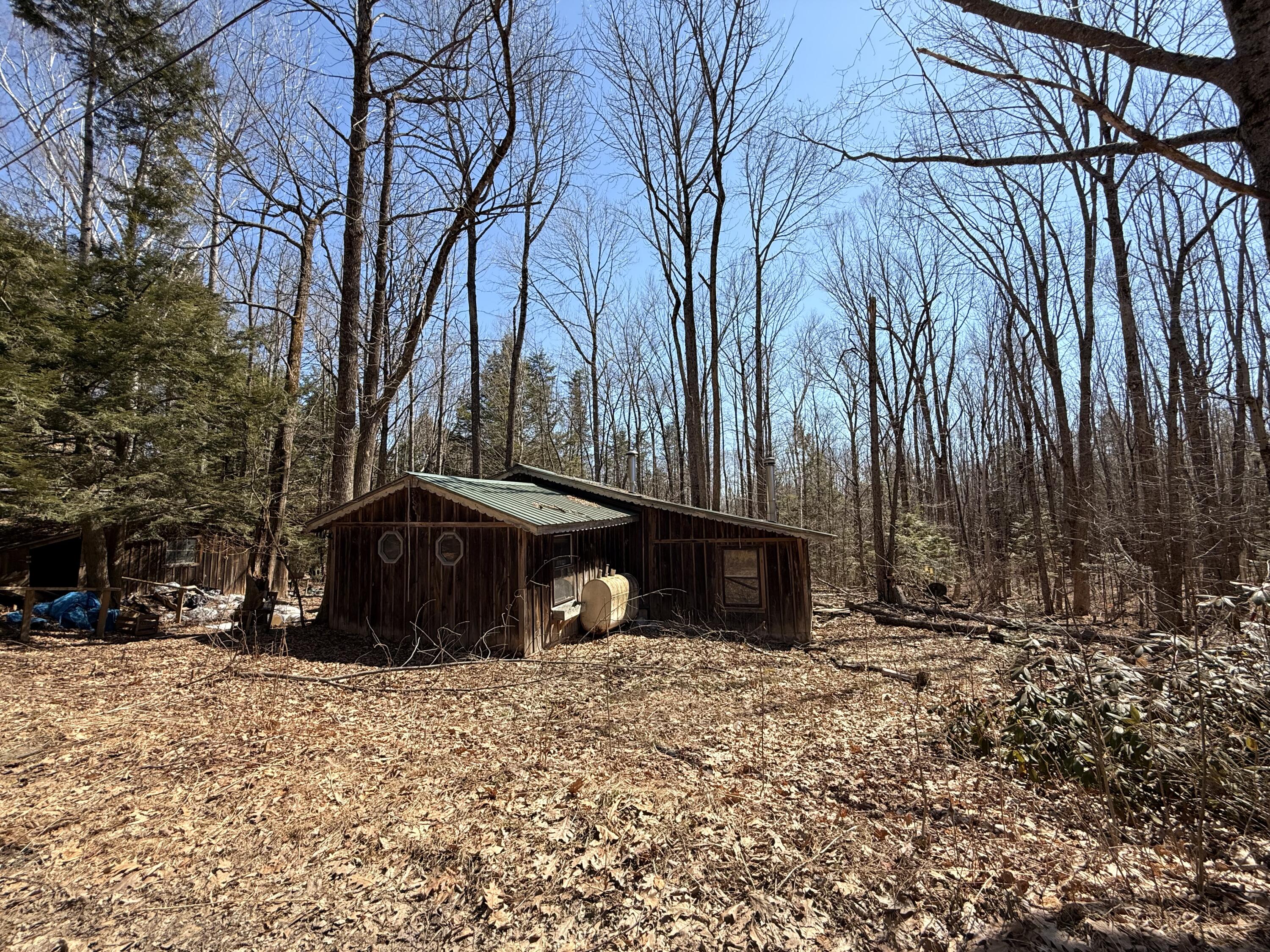 186 Transalpine Road Lincoln, ME 04457 - Photo 2 of 27 IMG_0567