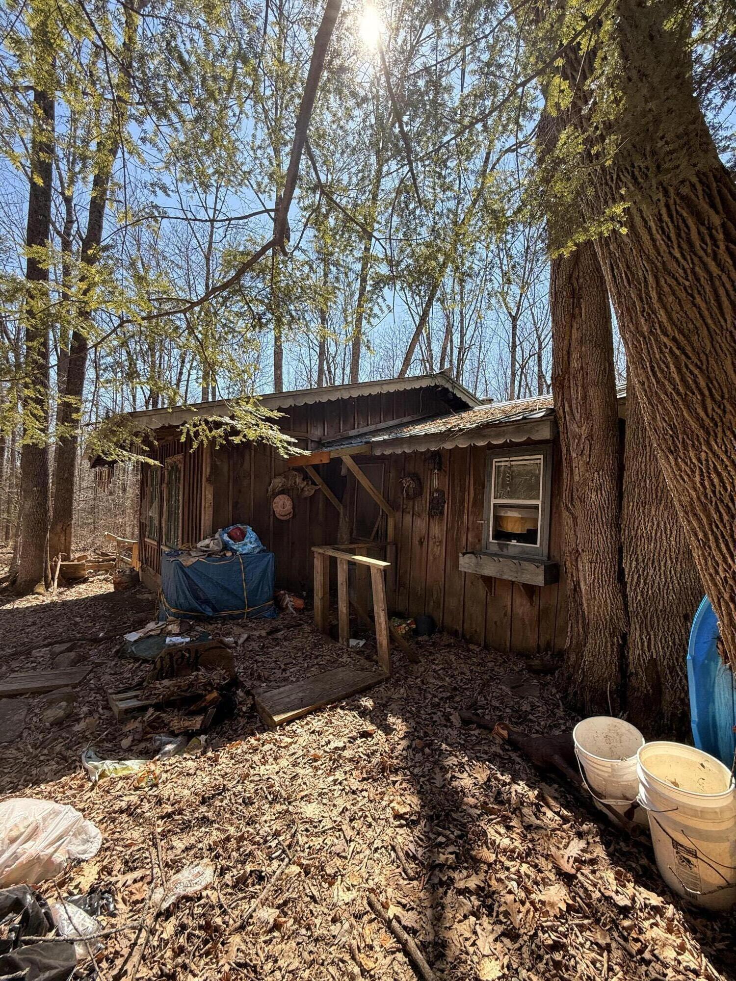 186 Transalpine Road Lincoln, ME 04457 - Photo 7 of 27 IMG_0576