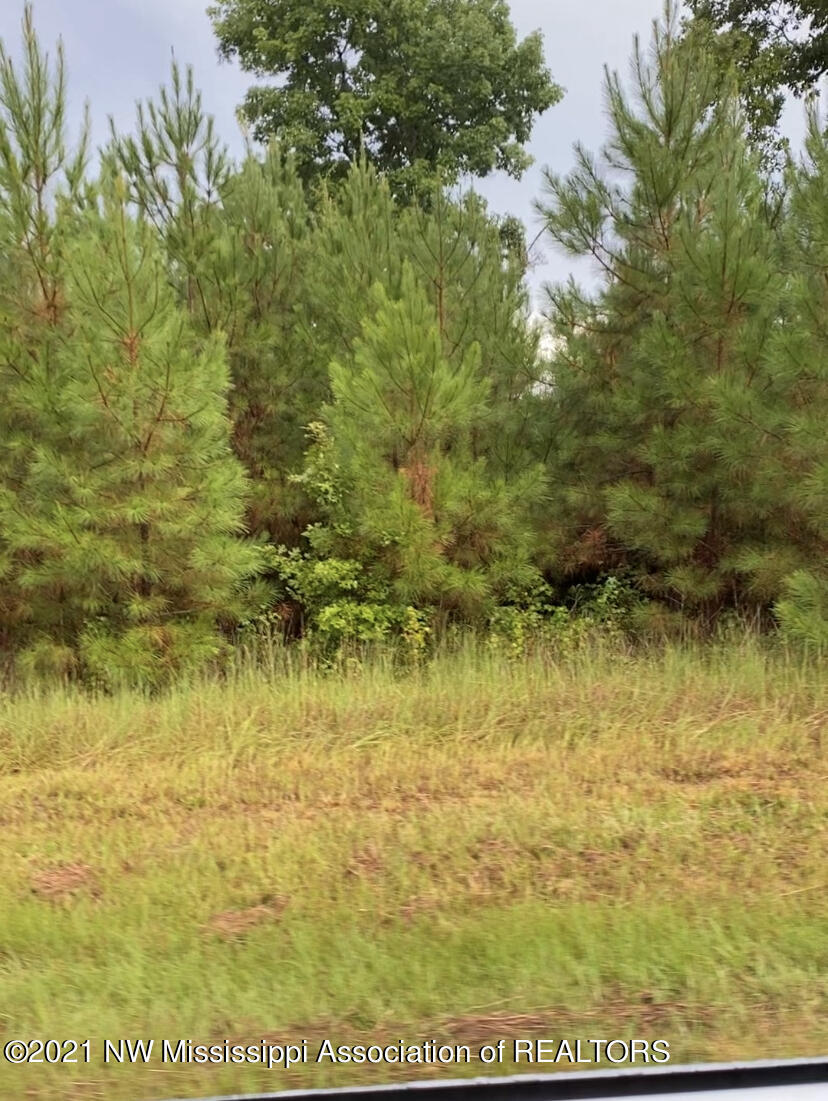 1155 Harmon Road Batesville, MS 38606 - Photo 1 of 1 A487C79D-E0C2-4416-A7E4-4FDBFF49C9B8