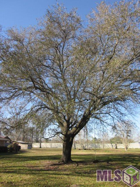 43498 Stevens Road Gonzales, LA 70737 - Photo 13 of 13 Gallery Image 13