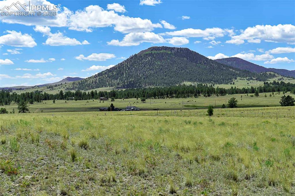 4680 County Road 71 Guffey, CO 80820 - Photo 7 of 15