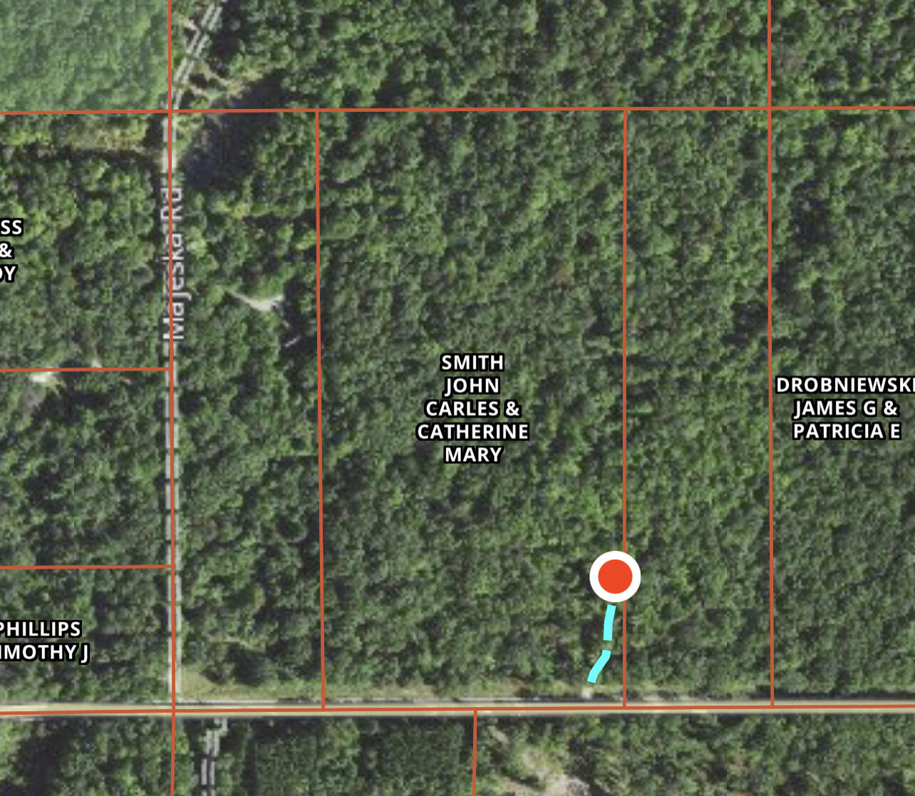 Hoxeyville Road Wellston, MI 49689 - Photo 2 of 8 IMG_0619