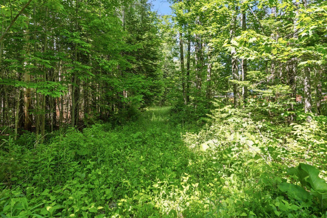 16 Moose Lane Orient, ME 04471 - Photo 33 of 48