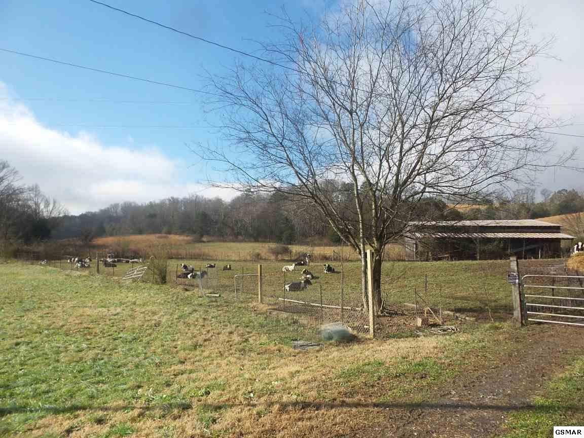 0 Dalton Road New Market, TN 37820 - Photo 3 of 27 Gallery Image 3