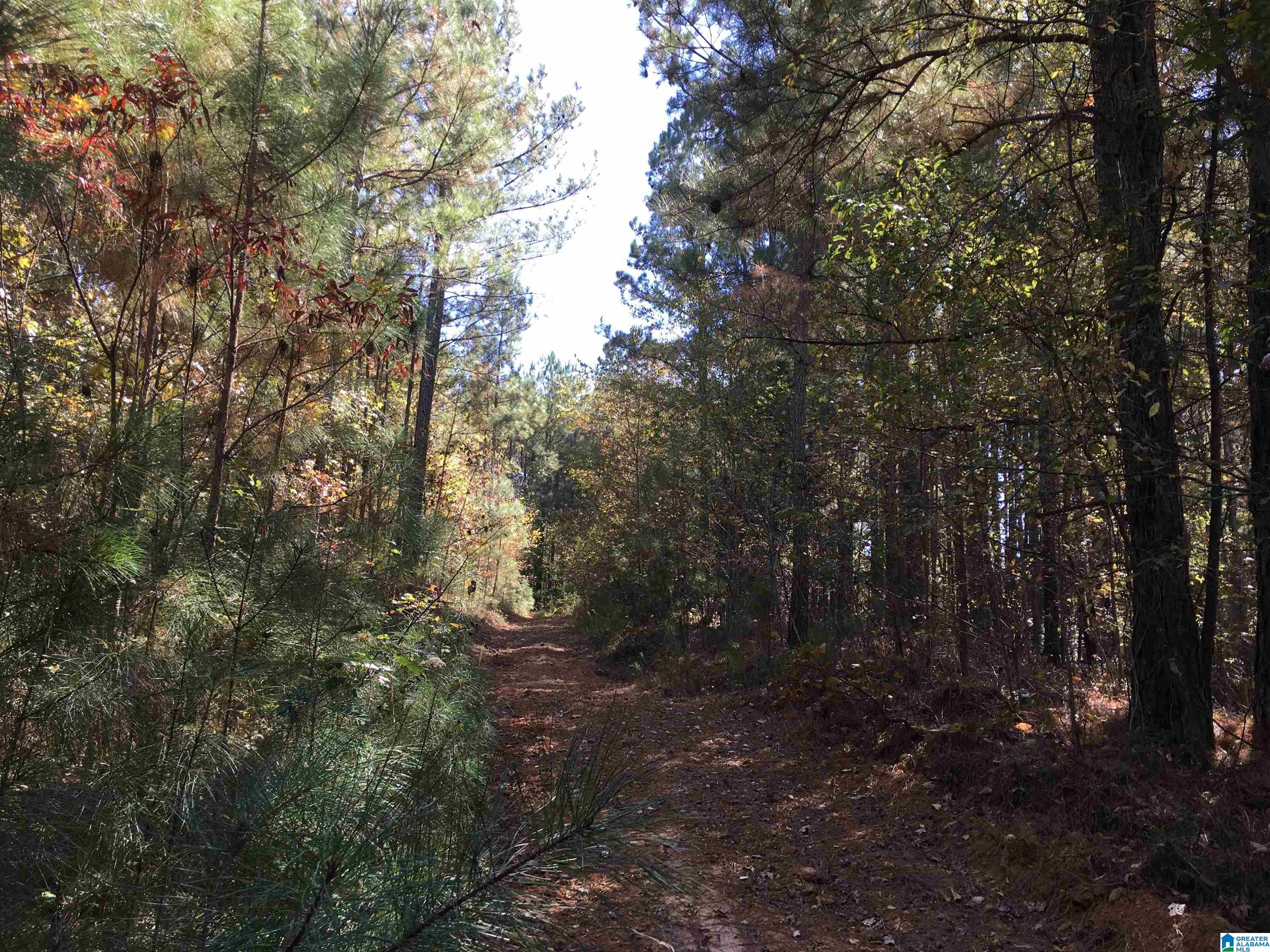 8760 Marsh Mountain Road, Unit 223 Pinson, AL 35126 - Photo 41 of 51