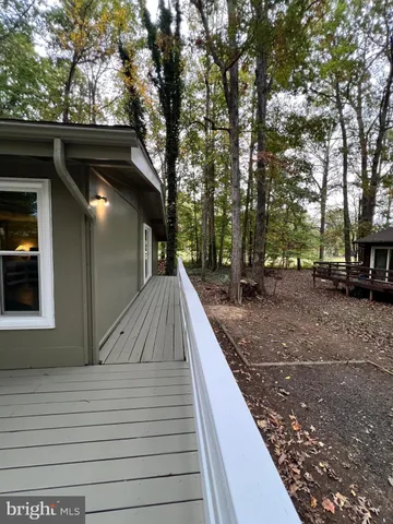 a view of a backyard with trees