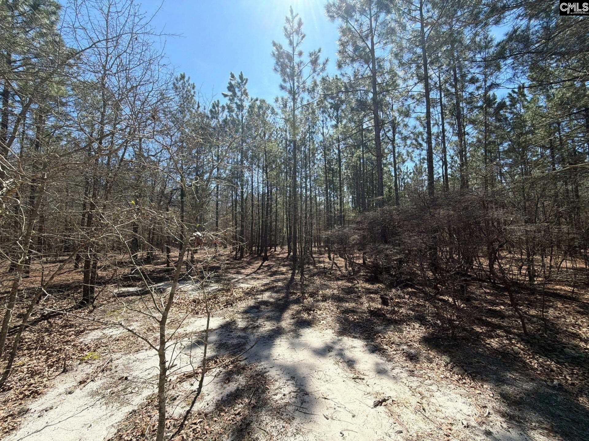 11 Boise Cascade Road, Unit BHL 11 Bethune, SC 29009 - Photo 19 of 24
