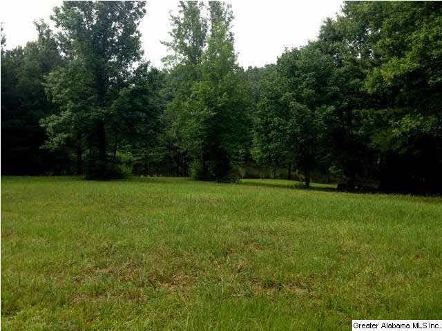 1416 Chandler Mountain Road Steele, AL 35987 - Photo 20 of 25